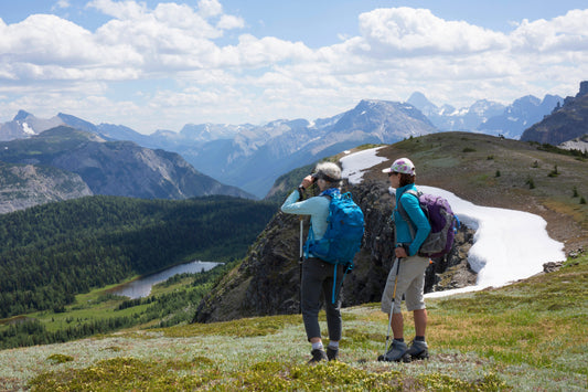 Climbing Breakthroughs: Step Count and Heartbeat Data for Better Ascents