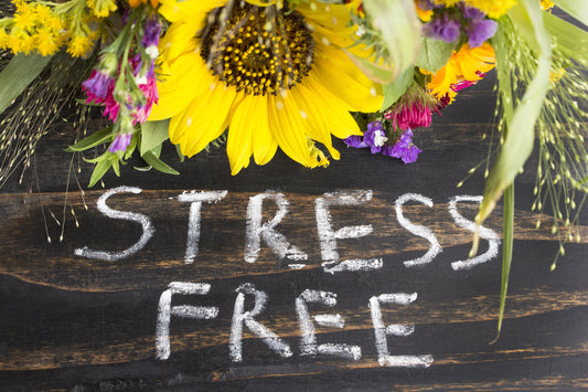 Stress - Free Sports: A Guide to Releasing Pressure Through Exercise - EZON Watch