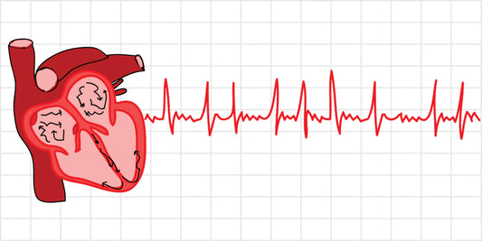 Understanding Healthy Heart Rates During Exercise - EZON Watch