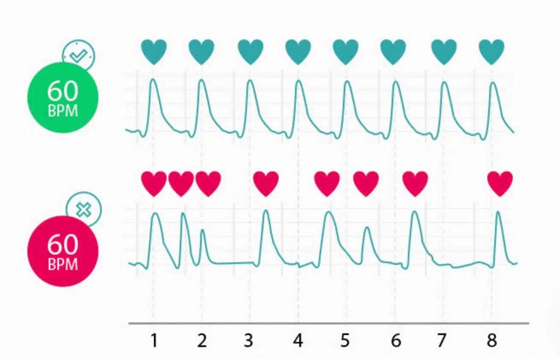 Optimal Heart Rates for Different Workouts: A Comprehensive Guide
